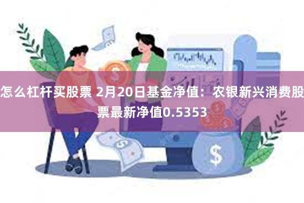 怎么杠杆买股票 2月20日基金净值：农银新兴消费股票最新净值0.5353