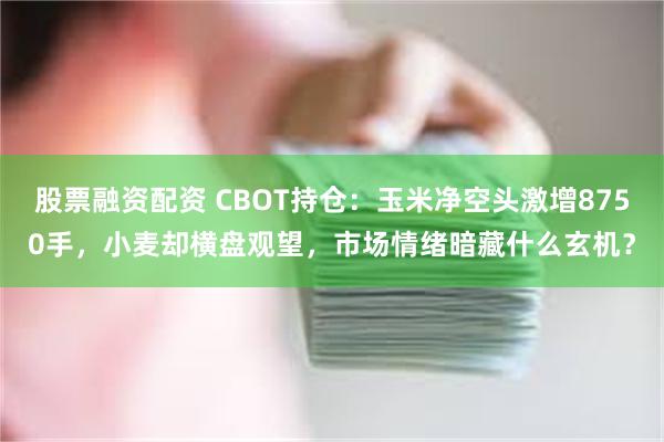 股票融资配资 CBOT持仓：玉米净空头激增8750手，小麦却横盘观望，市场情绪暗藏什么玄机？