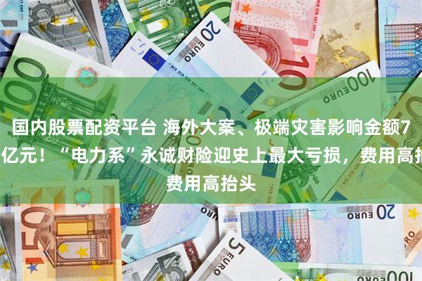 国内股票配资平台 海外大案、极端灾害影响金额7.67亿元！“电力系”永诚财险迎史上最大亏损，费用高抬头
