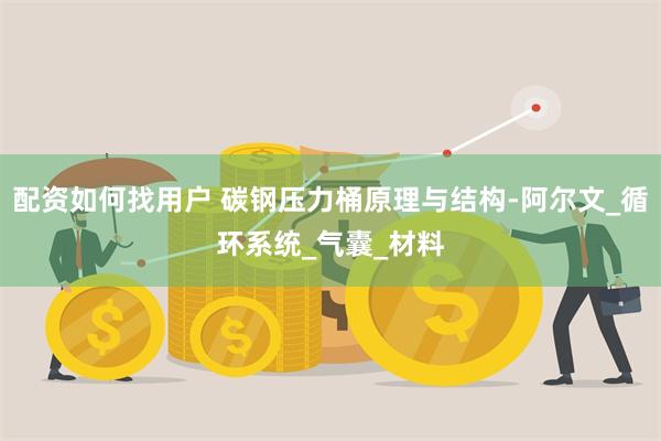 配资如何找用户 碳钢压力桶原理与结构-阿尔文_循环系统_气囊_材料