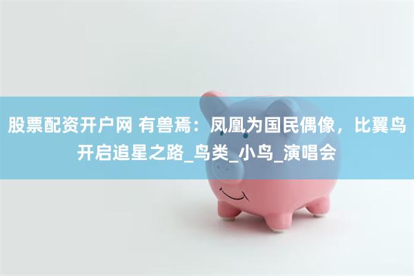 股票配资开户网 有兽焉：凤凰为国民偶像，比翼鸟开启追星之路_鸟类_小鸟_演唱会