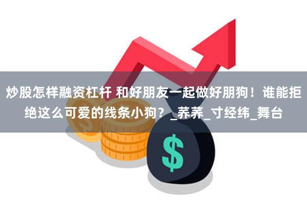 炒股怎样融资杠杆 和好朋友一起做好朋狗！谁能拒绝这么可爱的线条小狗？_荞荞_寸经纬_舞台
