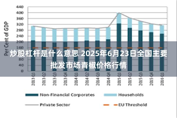 炒股杠杆是什么意思 2025年6月23日全国主要批发市场青椒价格行情