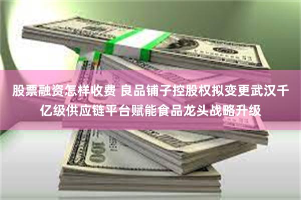 股票融资怎样收费 良品铺子控股权拟变更武汉千亿级供应链平台赋能食品龙头战略升级
