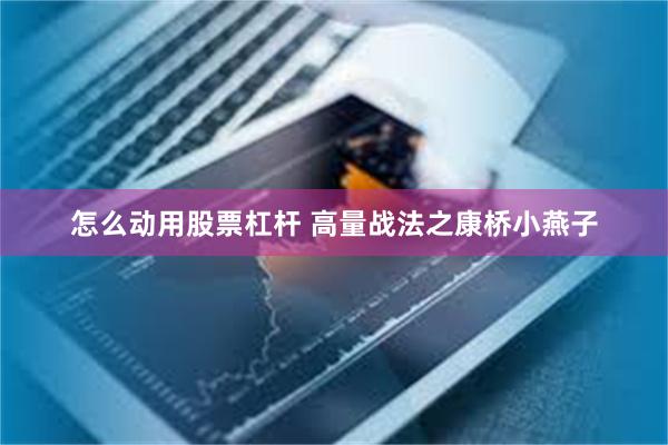 怎么动用股票杠杆 高量战法之康桥小燕子