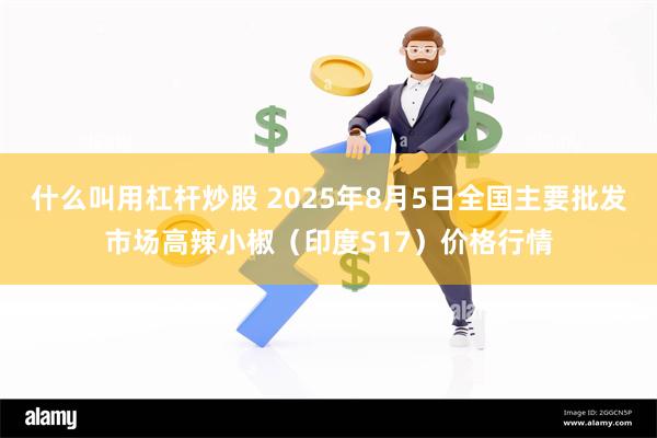 什么叫用杠杆炒股 2025年8月5日全国主要批发市场高辣小椒（印度S17）价格行情