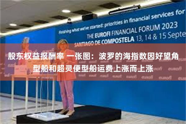 股东权益报酬率 一张图：波罗的海指数因好望角型船和超灵便型船运费上涨而上涨