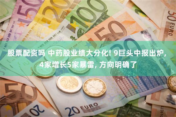 股票配资吗 中药股业绩大分化! 9巨头中报出炉, 4家增长5家暴雷, 方向明确了