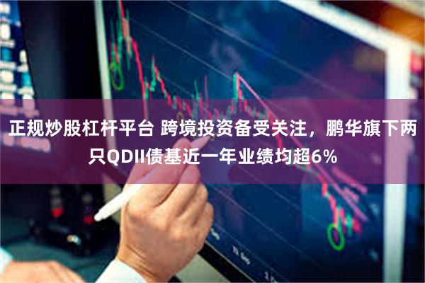 正规炒股杠杆平台 跨境投资备受关注，鹏华旗下两只QDII债基近一年业绩均超6%